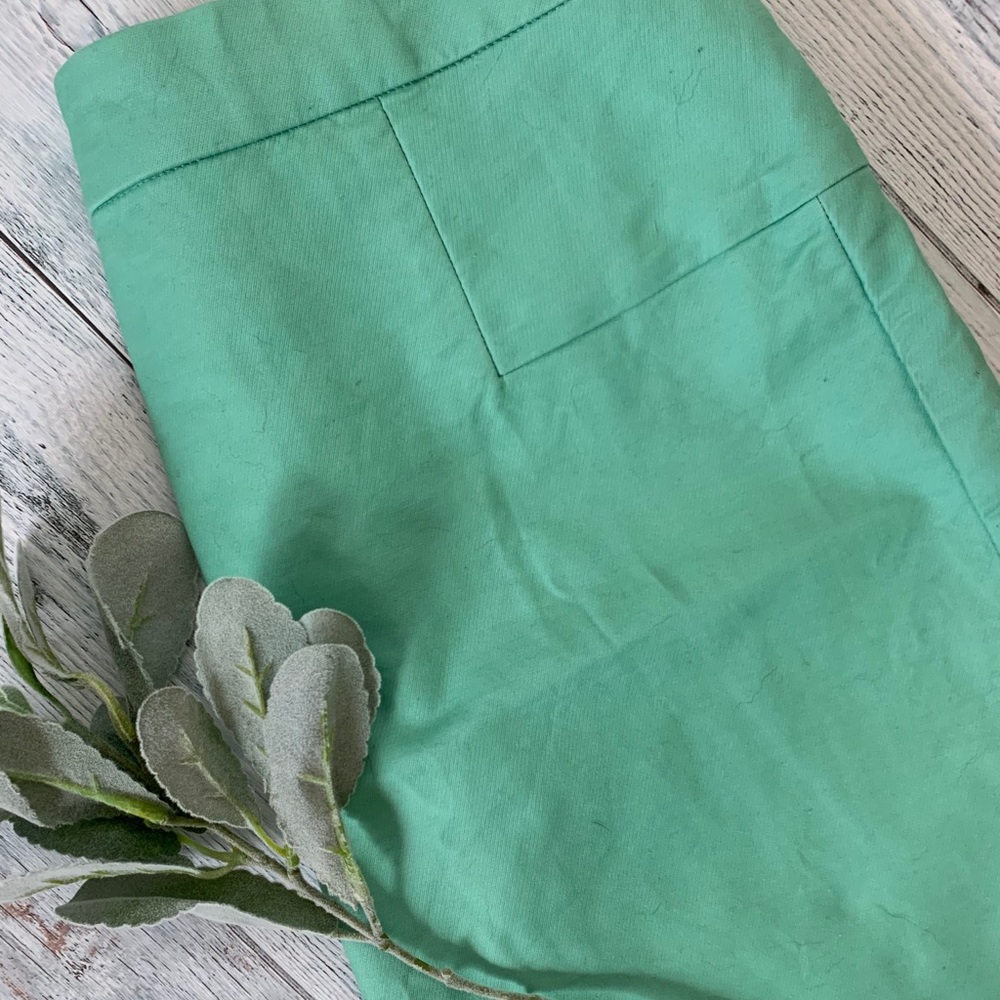 Max studio skirt